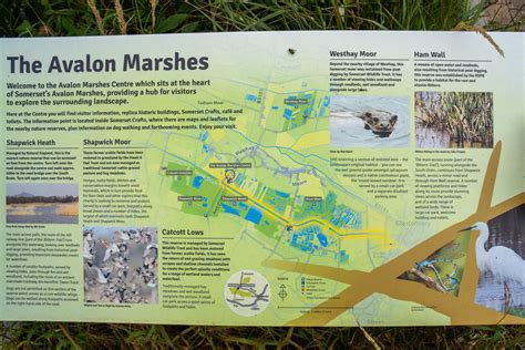 avalon archaeology|avalon marshes map.